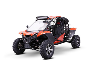 side by side buggy for sale